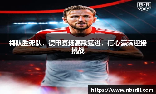 江南·综合体育官方app